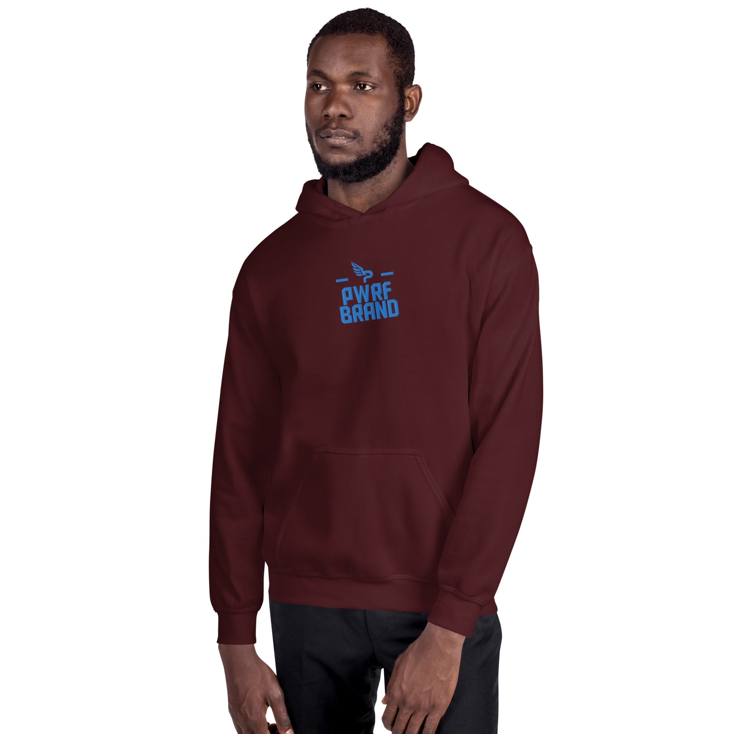 Men's PWRF Brand Aqua Center Embroidered Unisex Hoodie