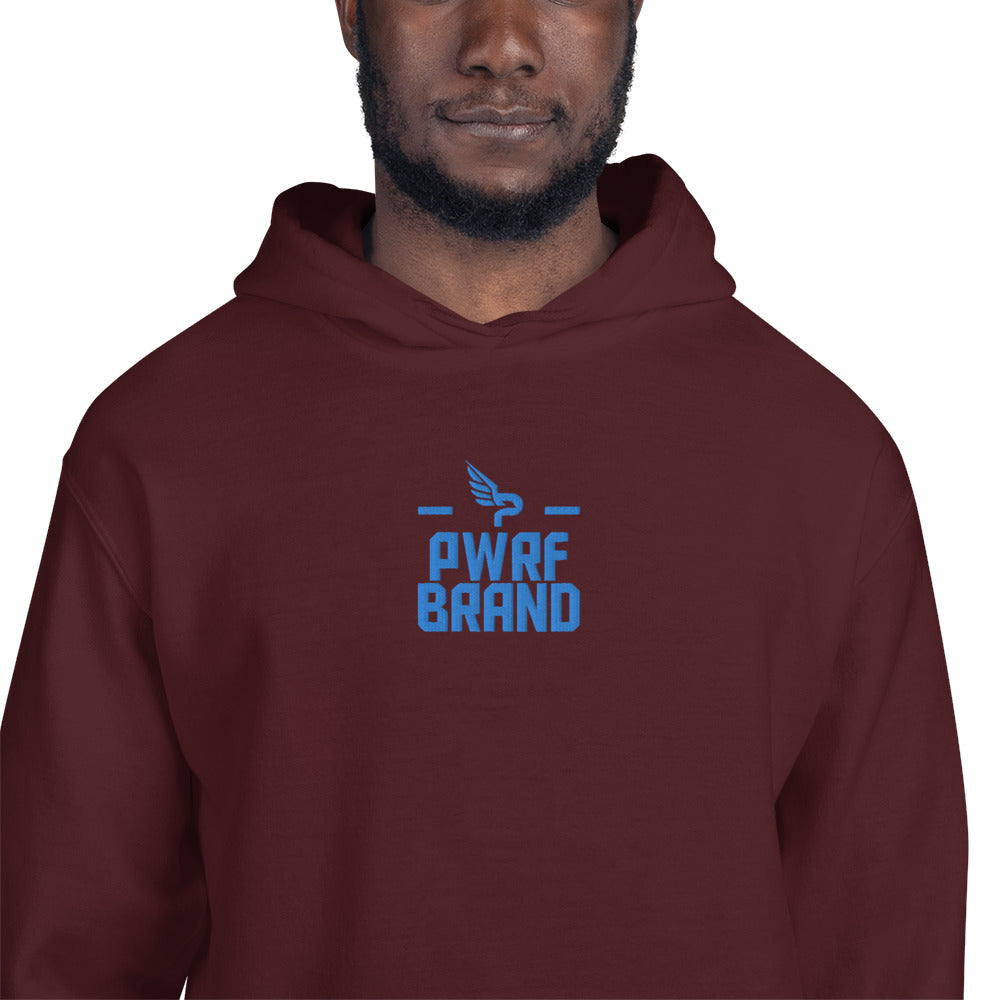 Men's PWRF Brand Aqua Center Embroidered Unisex Hoodie