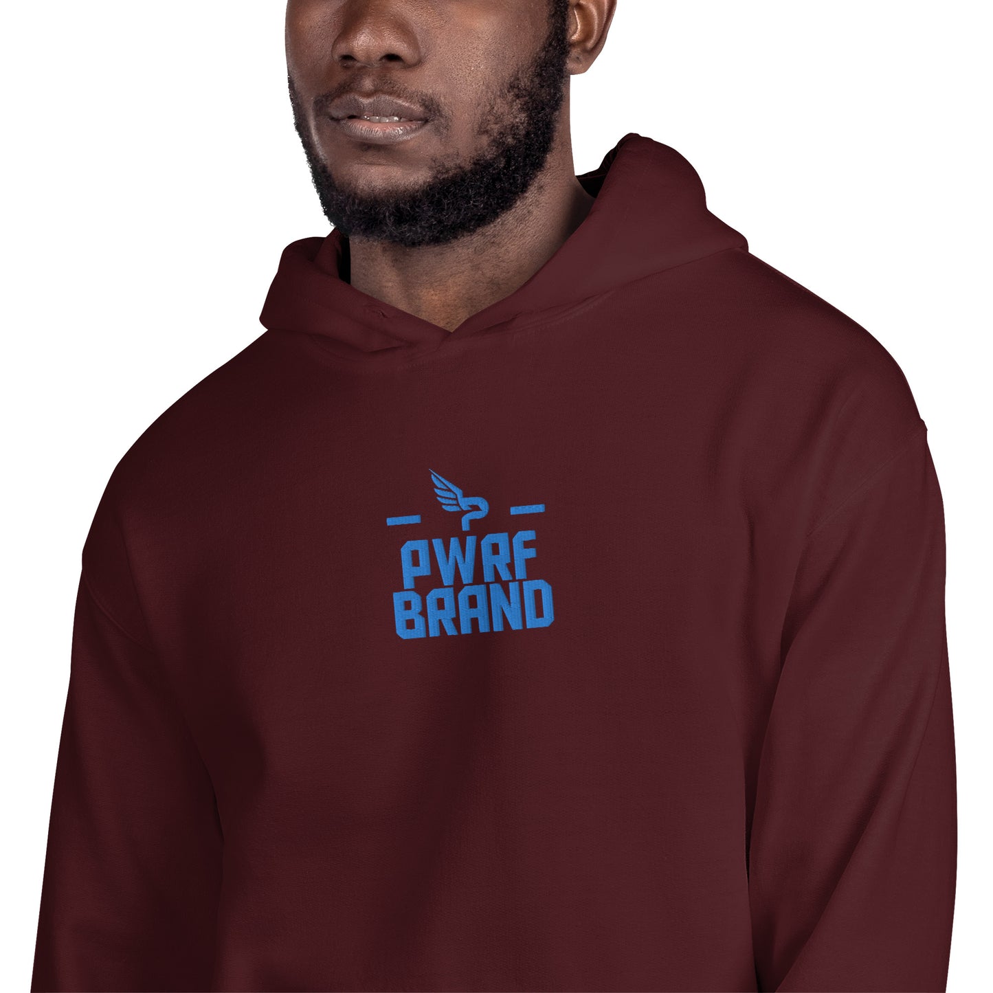 Men's PWRF Brand Aqua Center Embroidered Unisex Hoodie