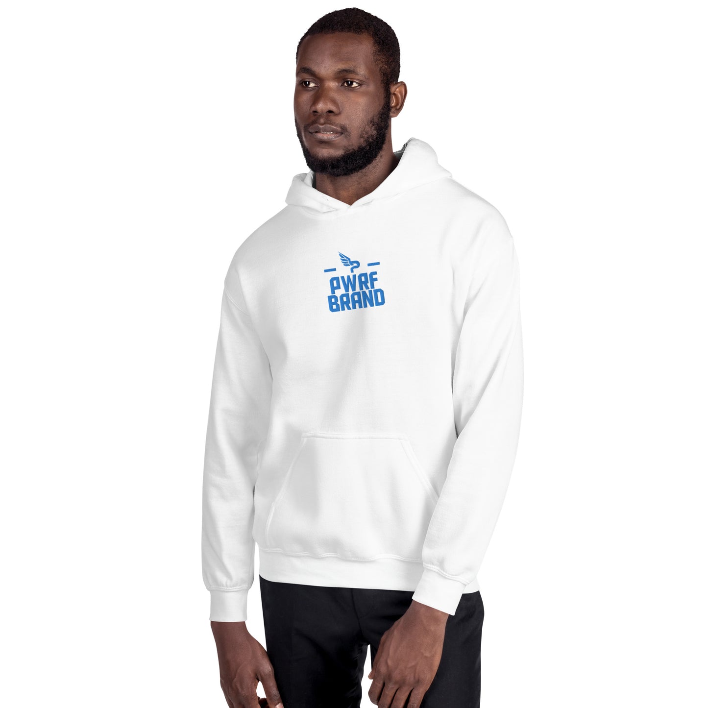 Men's PWRF Brand Aqua Center Embroidered Unisex Hoodie