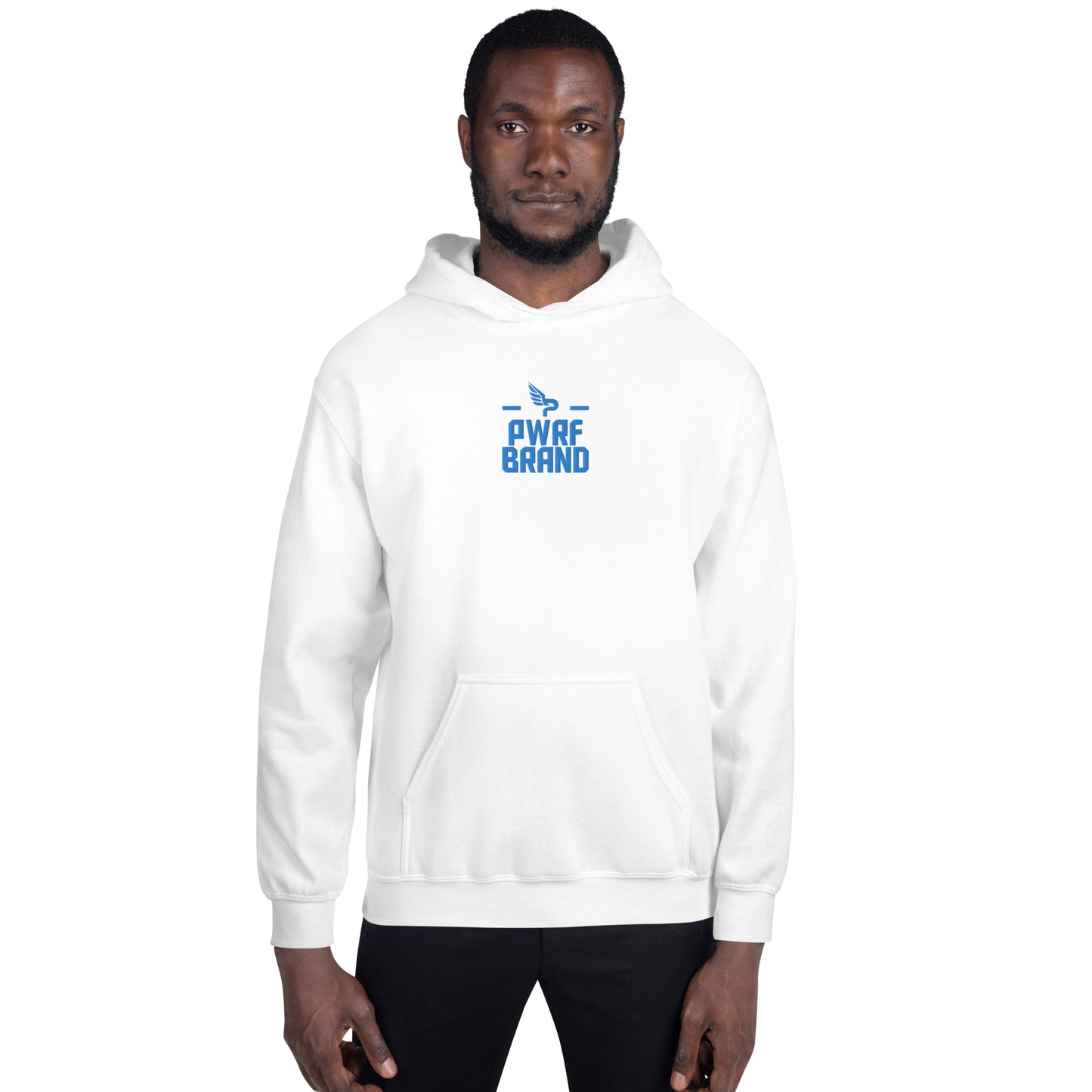 Men's PWRF Brand Aqua Center Embroidered Unisex Hoodie