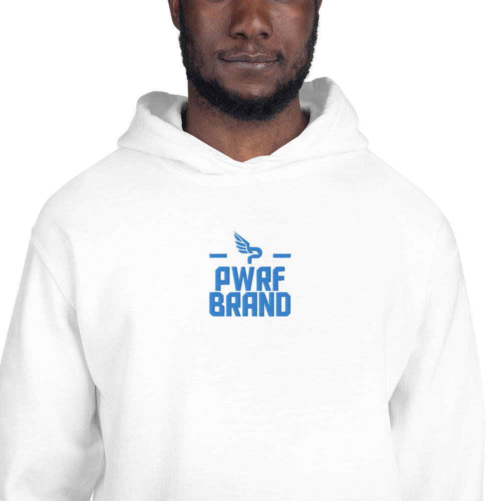 Men's PWRF Brand Aqua Center Embroidered Unisex Hoodie